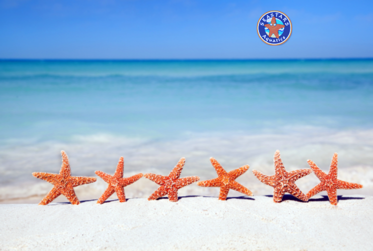 Anthony SEASTARS Swimmer from Films About Me on Vimeo.